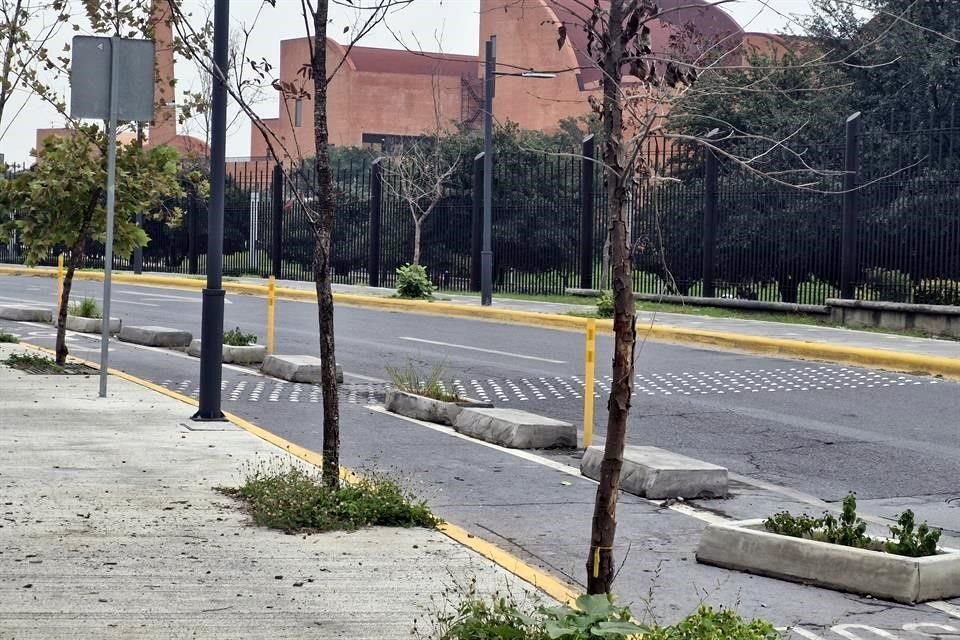 Además de los árboles hay piezas de concreto dañadas que obstruyen la ciclovía.