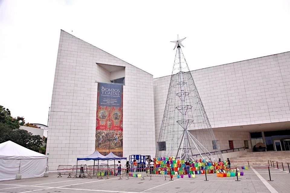 Gran pino del Museo de Historia Mexicana.