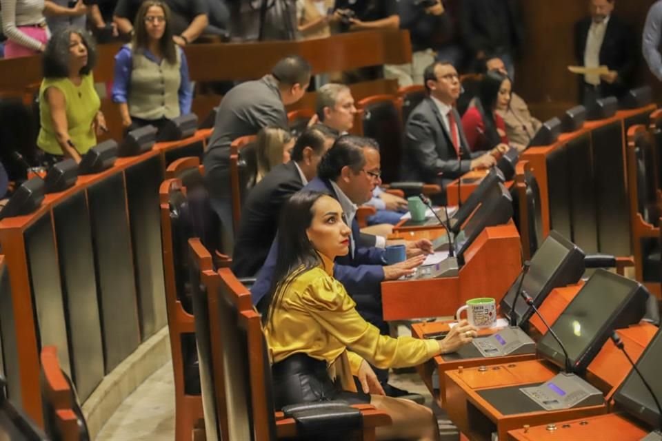 La legisladora panista, Claudia Murguía, presumió que la opacidad ocurrida este jueves pudo ser por la 'curva de aprendizaje' de los nuevos diputados.