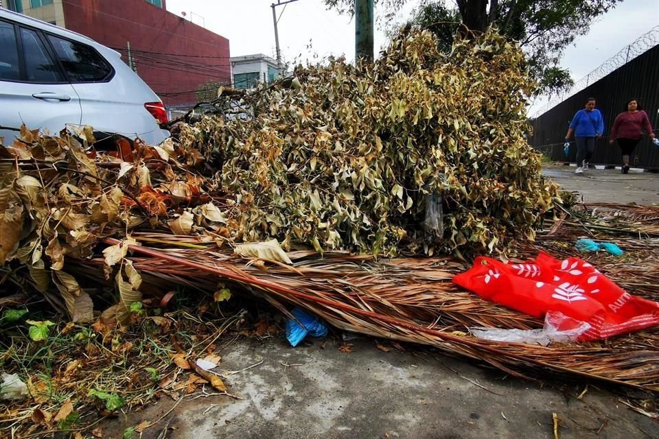 En la Colonia CTM Culhuacán Sección VI, desechos orgánicos e inorgánicos son dejados en las calles.