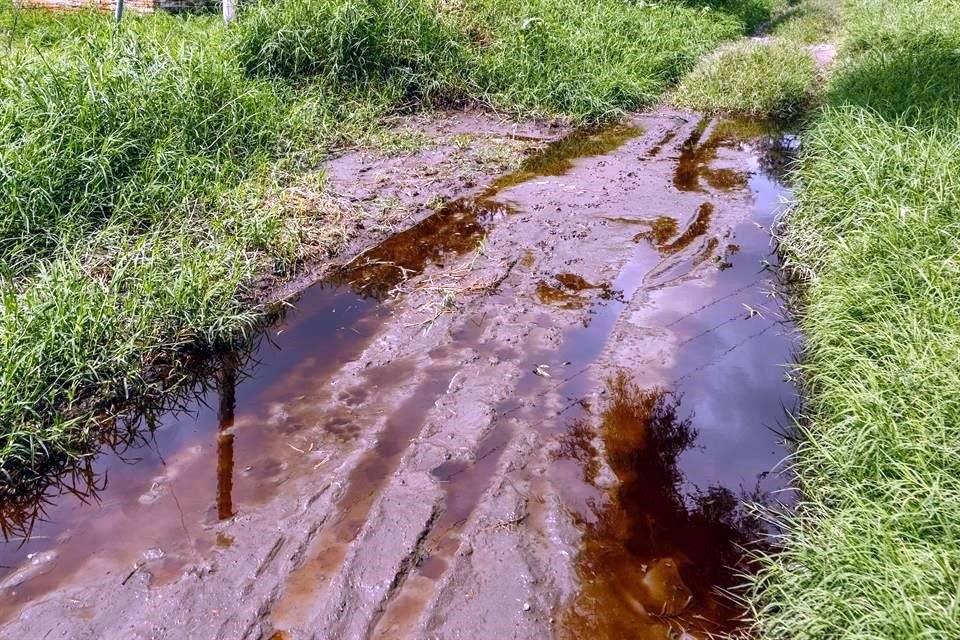 Los jugos de la basura cuentan con metales pesados como plomo y cromo.