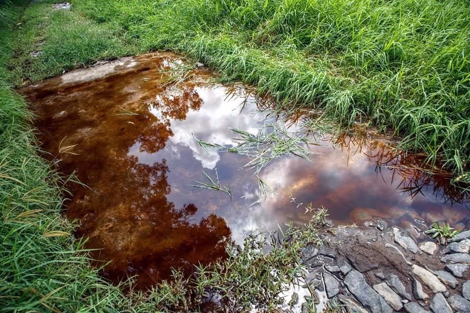 Los lixiviados de Laureles contienen elementos como nitrógeno, fósforo, plomo, cromo, níquel, zinc, cianuros, entre otros.