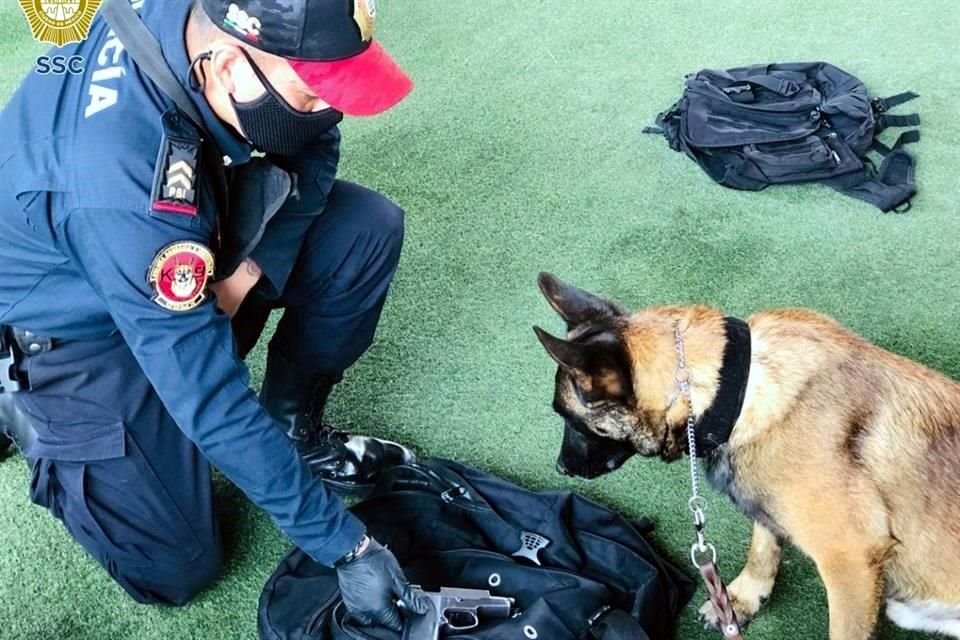 Los perros de la Unidad Canina se encargan de detectar explosivos, estupefacientes e, inclusive, ayudan en detenciones.