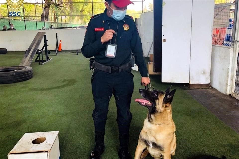 'Nosotros los consideramos nuestros compañeros', dijo el responsable de la Unidad Canina de la PBI, Samuel Baltazar Lorenzo.
