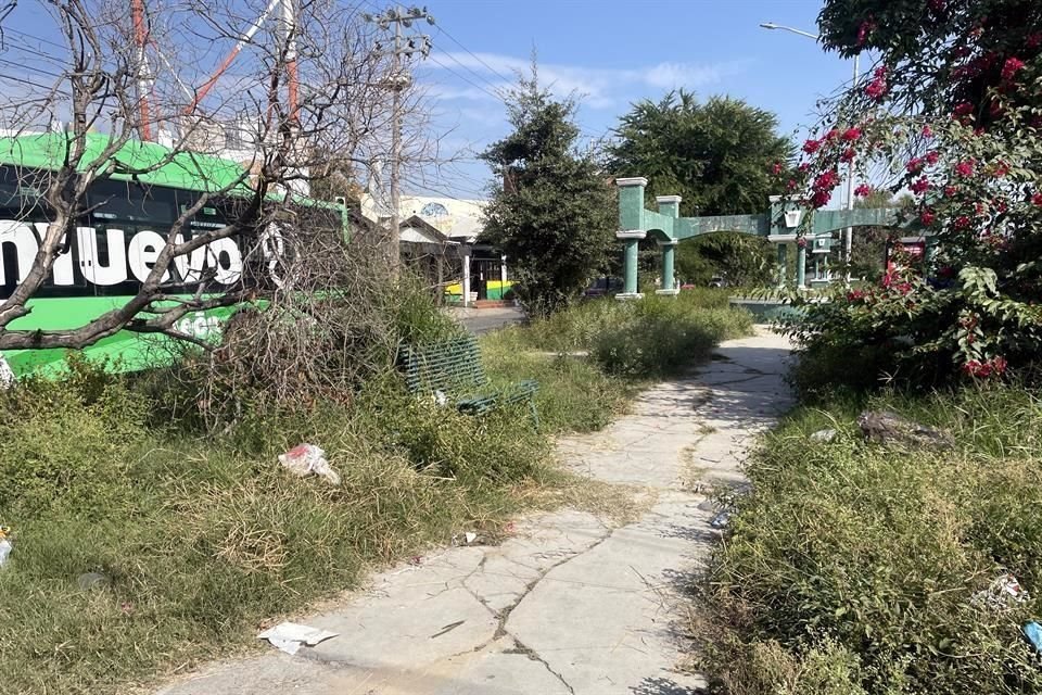 Las banquetas con basura y maleza crecida bloquean el paso de los peatones.