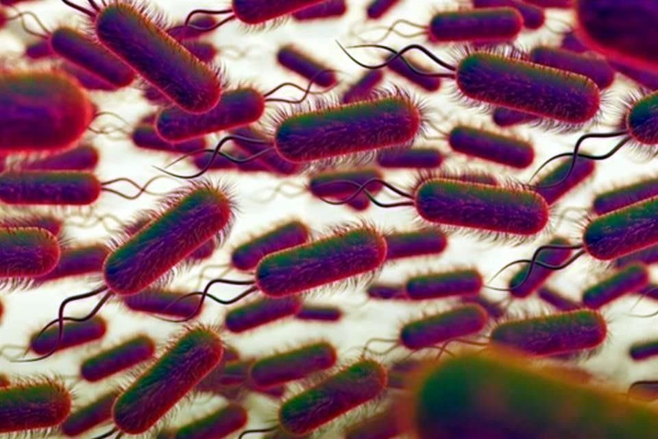 La Cofepris canceló el registro de la proveedora farmacéutica responsable de varios brotes de bacterias en hospitales públicos del País.