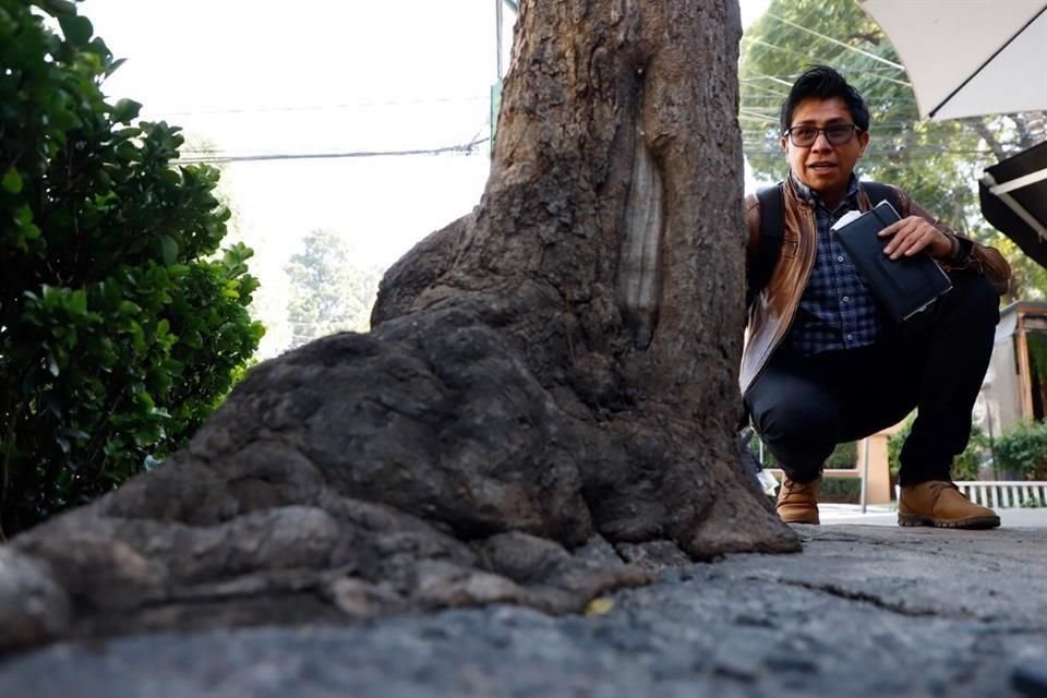 PRISIÓN. Julio Gutiérrez, biólogo, junto a un árbol con raíces cubiertas en Matías Romero.