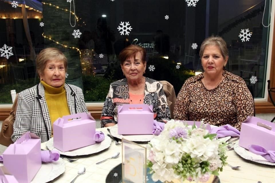 Celia Martínez Elizondo, Consuelo Martínez , Amparo Gómez