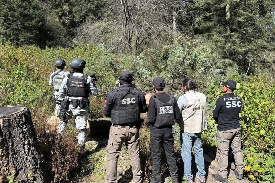 Mientras relizaban un recorrido en la zona, elementos de la SSC  la Guardia Nacional escucharon una motosierra por lo que acudieron a realizar el aseguramiento.