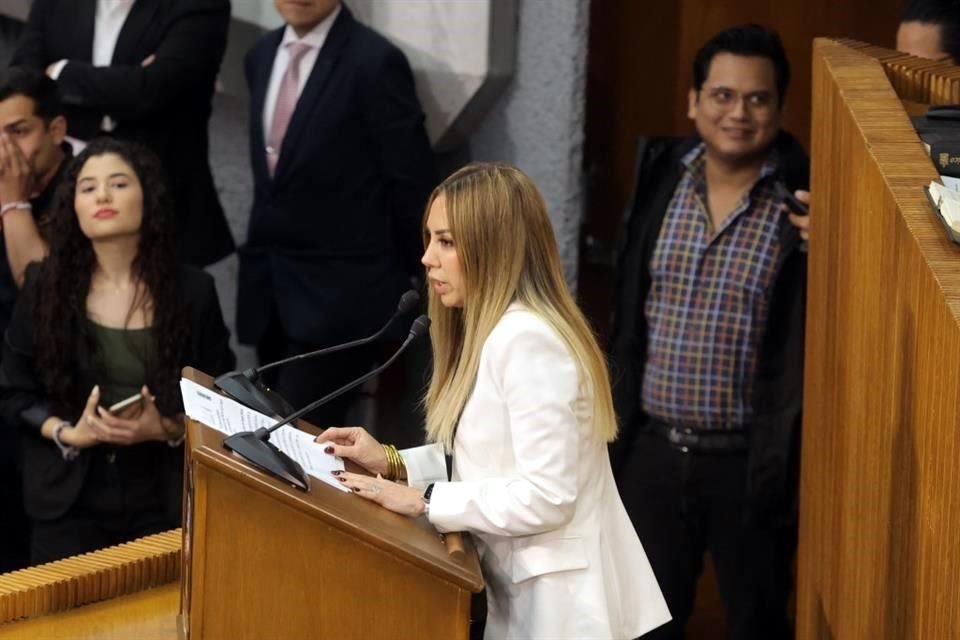 Perla Villarreal, Diputada del PRD.