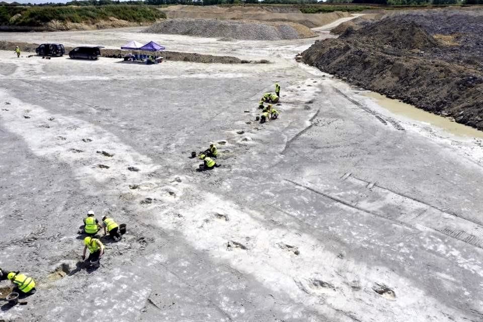 Las huellas de cinco dinosaurios se extienden por 150 metros en la cantera de Dewars Farm, en lo que han llamado la 'autopista de dinosaurios'.