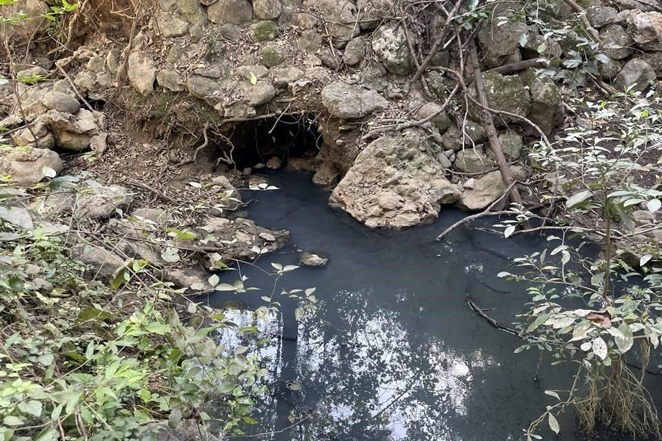 Una aparentemente descarga de Agua y Drenaje es lo que podría estar ensuciando el agua del arroyo del Gran Parque Río La Silla.