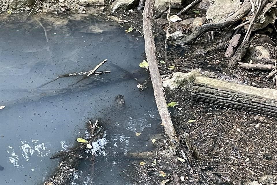 El agua contaminada y con mal olor se encuentra en el sendero Fray Servando.