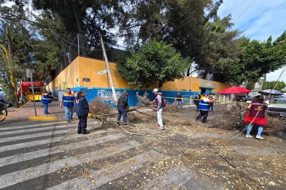 En medio de la doble alerta por los fuertes vientos, en varias alcaldías han caído árboles.