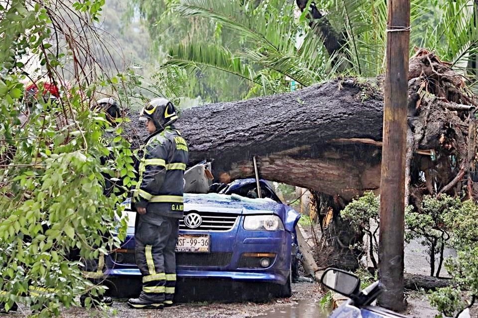 Hace siete meses, el tronco de un árbol cayó sobre un auto, aplastando a Lorena, quien iba como copiloto.