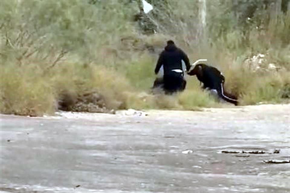 Hasta el momento se desconoce el motivo de la detención.