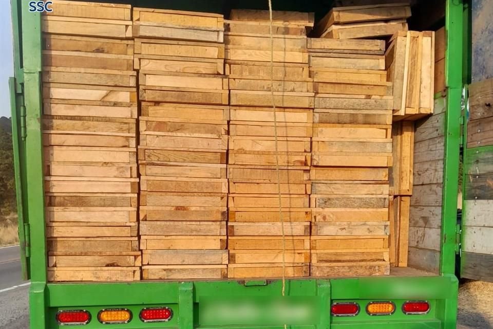 En la Carretera federal México-Cuernavaca se detectó que una unidad trasladaba 250 tarimas de madera verde de pino. 