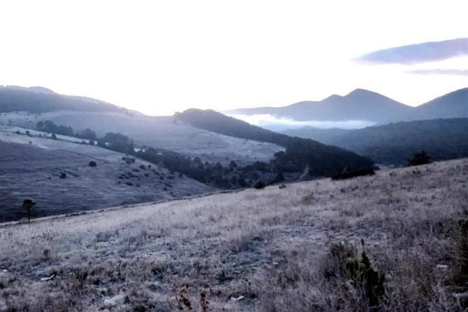 Ante las bajas temperaturas, las comunidades cerca del Cerro del Potosí, en Galeana, inician jornada con paisajes cubiertos por hielo.