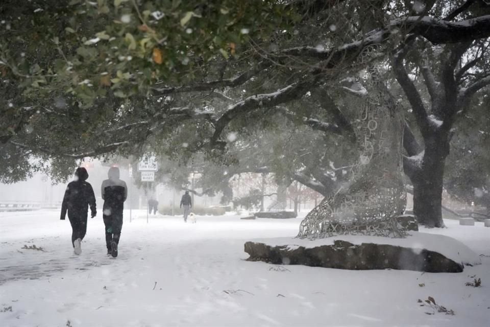 Personas caminan bajo los árboles en un parque en Houston, el 21 de enero del 2025.