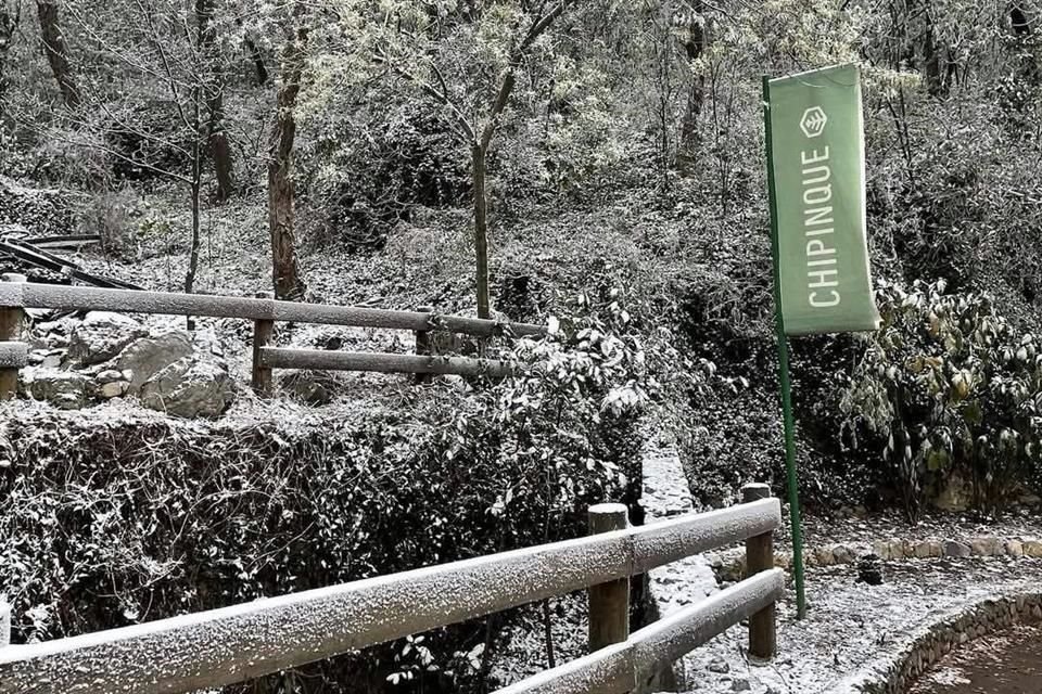 Entre lluvia congelada y aguanieve, los regios vivieron uno de los días más congelantes del Frente Frío No. 24.