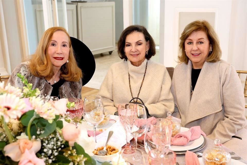 Yolanda de la Garza, Linda de Ander y Silvia Tamez de Rodríguez