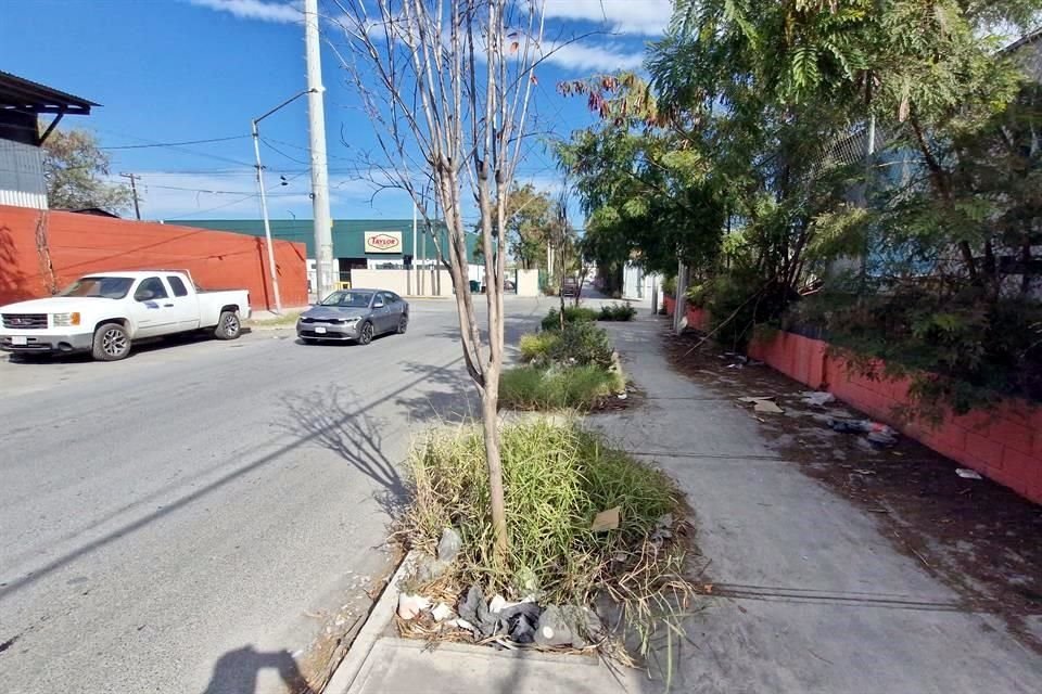 Las plantas exhiben descuido en banquetas de la calle Antonio I. Villarreal.