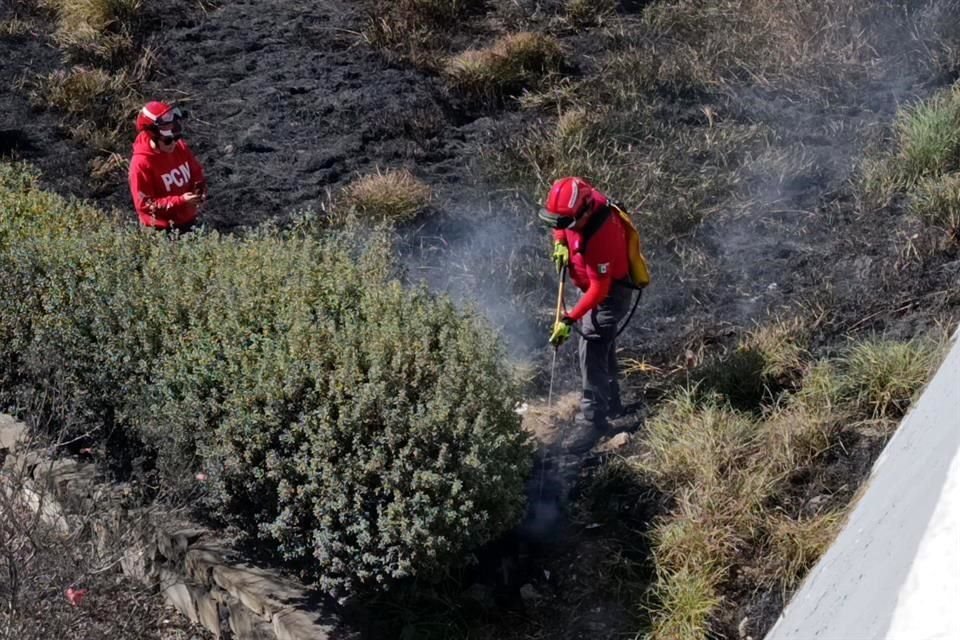 El fuego se registró en un terreno ubicado en la Avenida Constitución y Morelos.