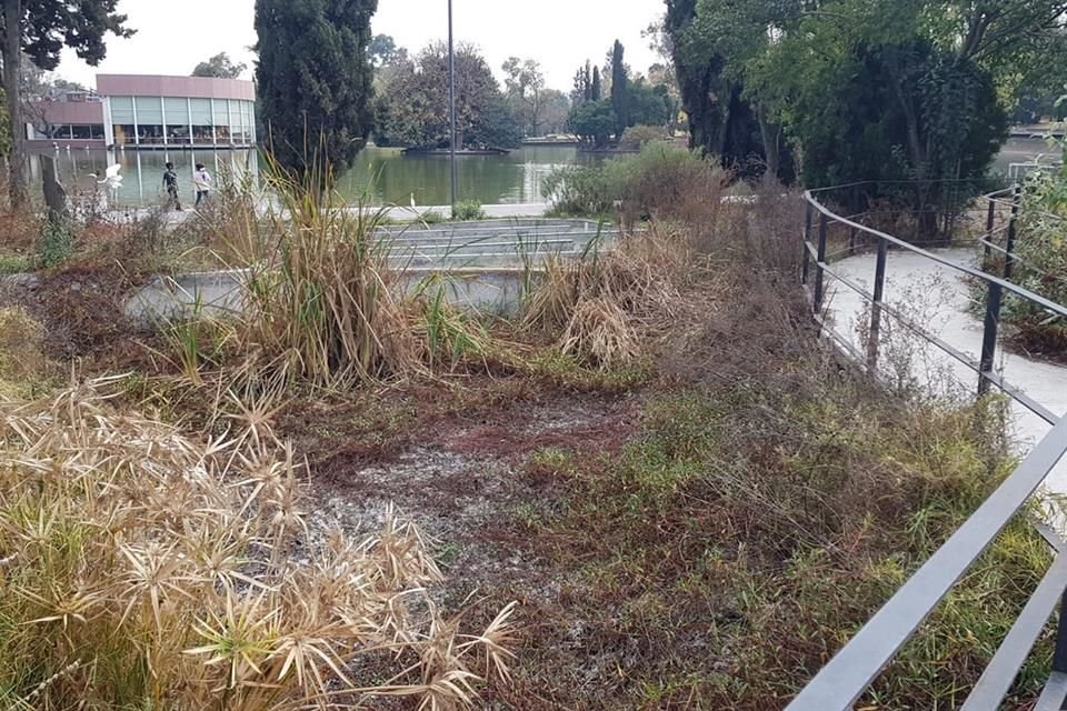 El humedal estaba a cargo de la Secretaría del Medio Ambiente; actualmente luce árido