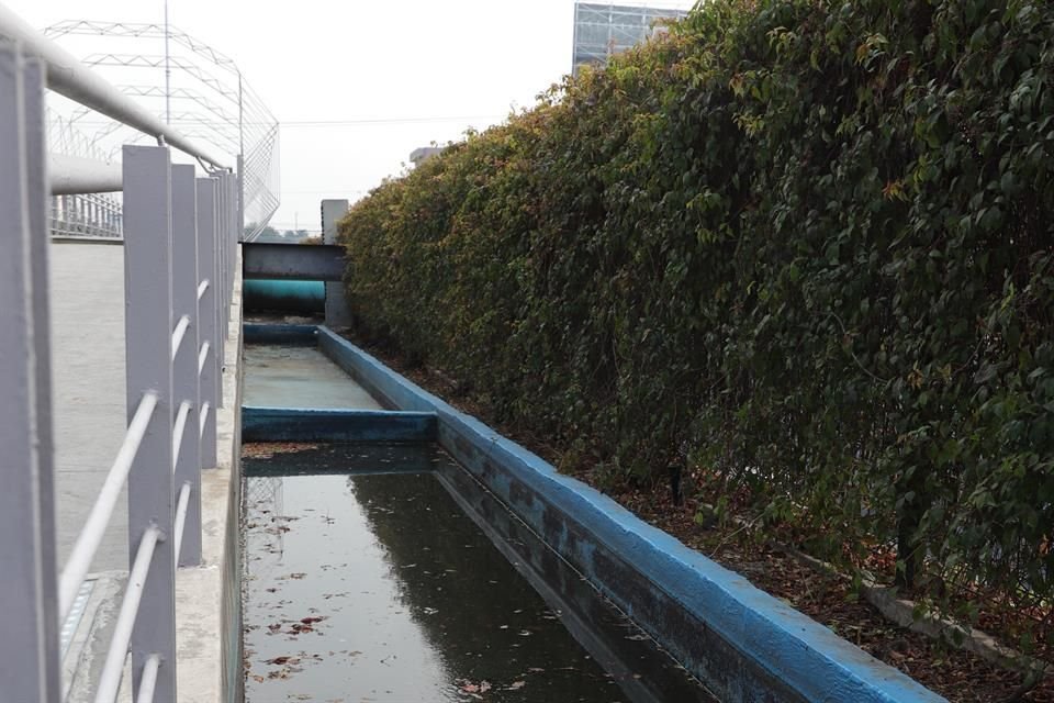 Trabajadores expusieron que tras reparar las geomembranas, en unas semanas el humedal contará con agua.