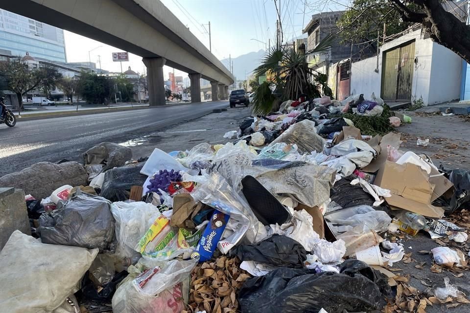 Aseguraron que aunque han puesto contenedores de basura, el problema no se soluciona, sino que al contrario, empeora porque aprovechan para también tirar animales muertos.