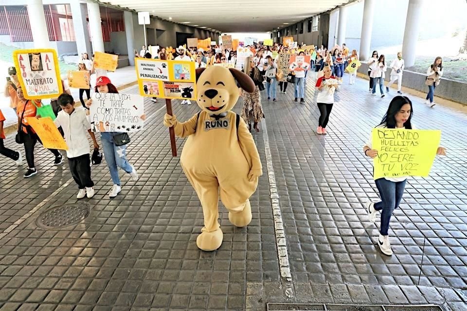 Unas 70 personas respondieron a la convocatoria de la marcha de derechos por los animales y caminaron bajo un intenso sol.