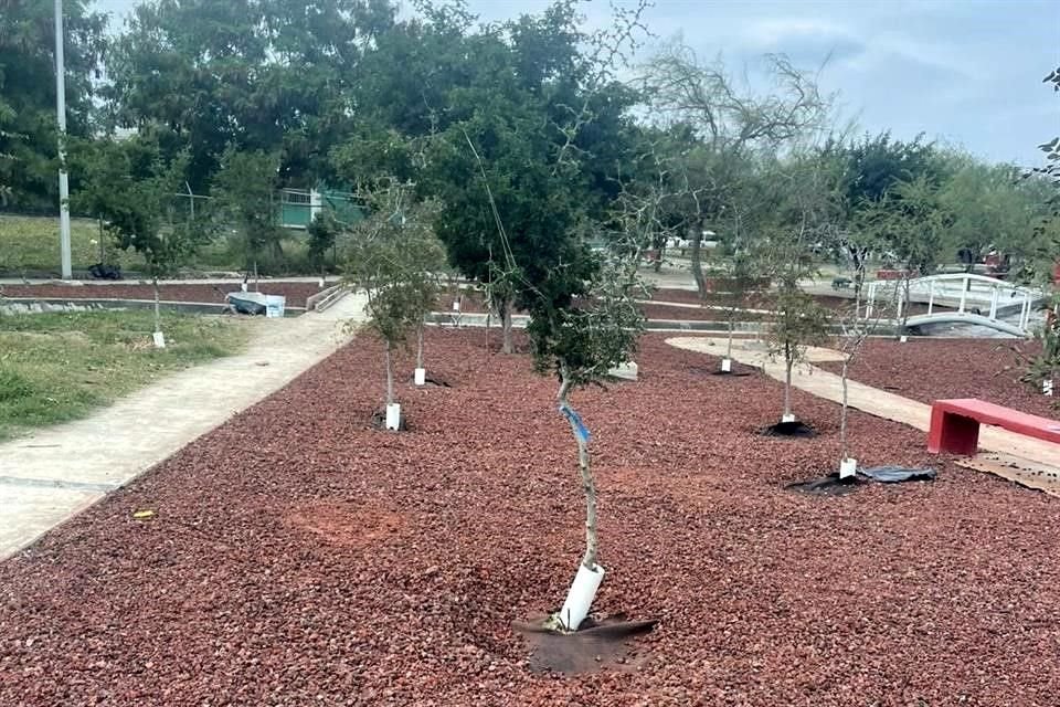 En la Colonia Pedregal del Topo Chico, fueron colocadas piedras y plástico en áreas verdes.