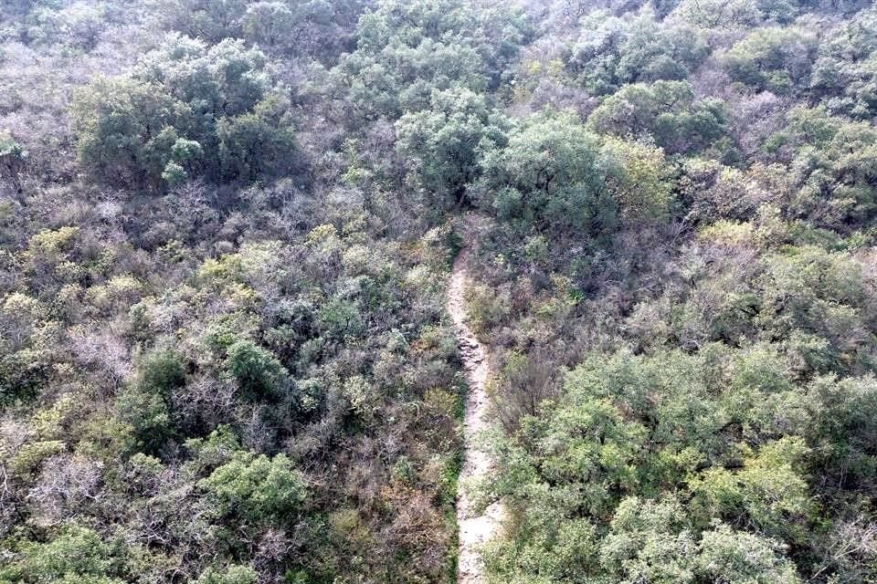  La zona por donde ingresó Ana Carolina al Cerro de las Mitras permanece cerrado.