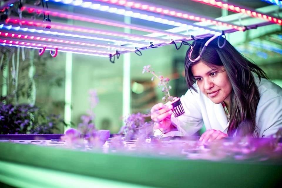 La convocatoria del British Council busca que haya más mujeres en las áreas STEM.