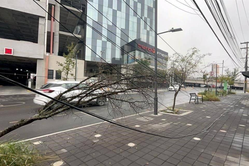   En el Corredor Verde de la Avenida Federico Gómez, hay postes, árboles y cableado caído, que no permite a los peatones caminar por las banquetas.