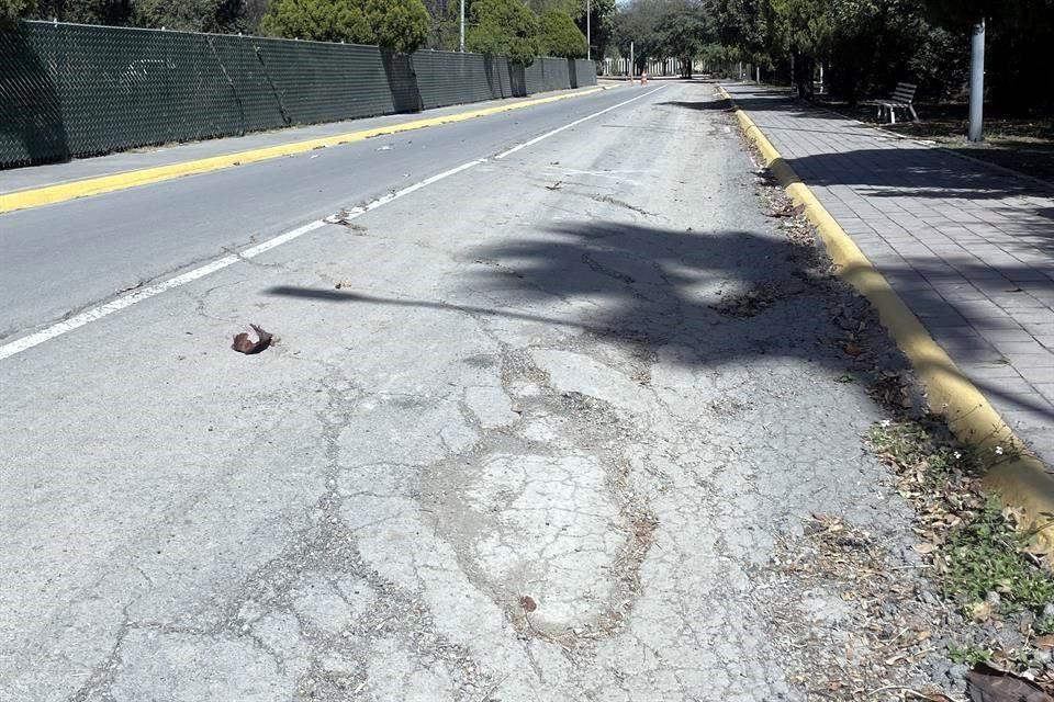 Los ciclistas que acuden al Parque Niños Héroes tienen que esquivar los daños de la vitapista.