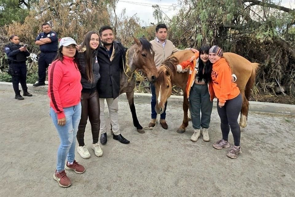 Los dos equinos fueron hallados deambulando en Nopaltepec.