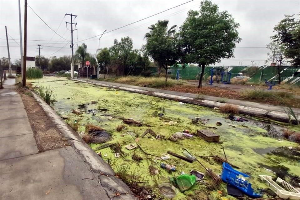 La calle Pesquería de la Colonia Mirador de San Antonio, que era la salida de un sector, ahora está convertida en una laguna llena de matorrales.