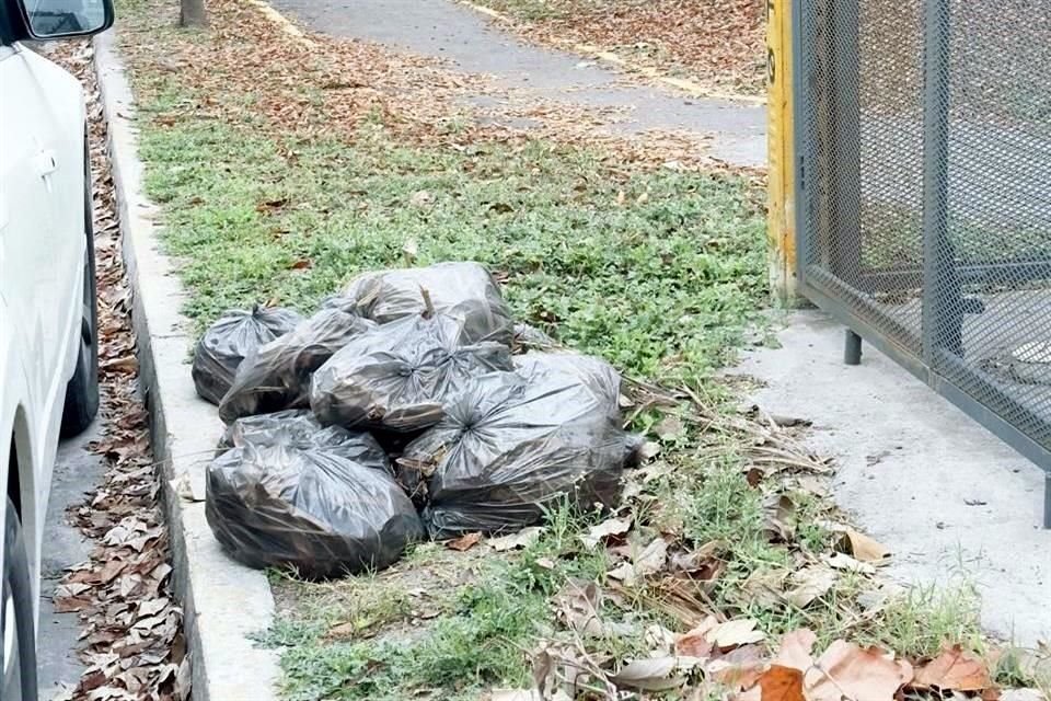 Molesta a vecinos los desechos de basura tirados en parques públicos