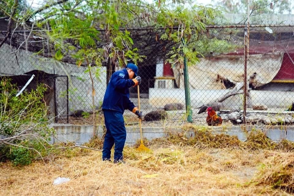 En un comunicado, precisó que en la brigada participaron alumnos, maestros, y padres de familia que apoyaron con labores de deshierbe, retiro de basura y fumigación.