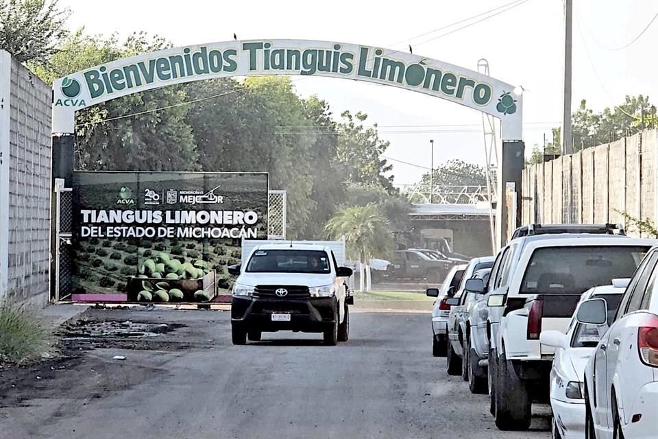 No conformes con el cobro de piso y las extorsiones, organizaciones criminales buscan administrar toda la industria limonera en Michoacán.