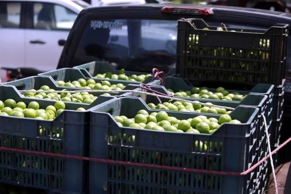 Treinta empacadoras de limón en Apatzingán, Michoacán, están cerradas desde la semana pasada ante las extorsiones y el asedio del crimen organizado.