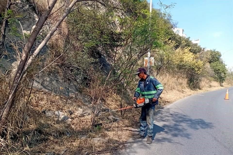 Trabajadores de la Secretaría de Servicios Públicos rehabilitaron los camellones y banquetas de las Avenida Gonzalitos, Rangel Frías y Cabezada.