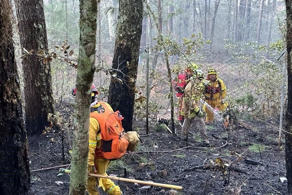 La rápida acción de los rescatistas evitó que el fuego se propagara.