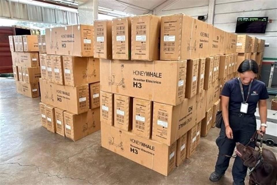 El hallazgo se llevó a cabo en la aduana de Pantaco, en Azcapotzalco, Ciudad de México.