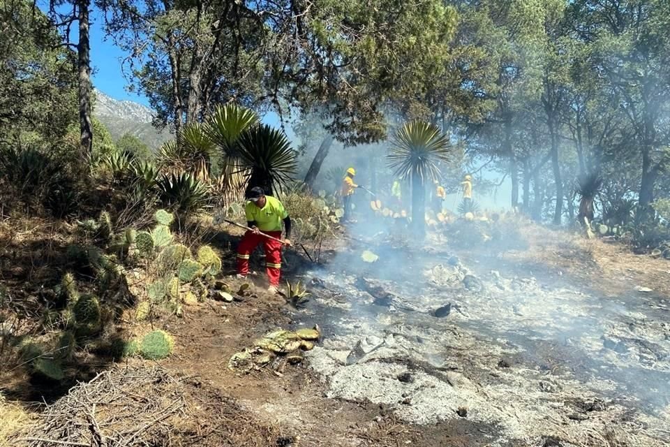 El siniestro en Linares fue reportado alrededor de las 14:10 horas, entre las comunidades Rancho Viejo y Las Palmas.