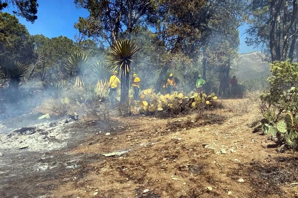 Elementos de Protección Civil de Linares, Galeana y del Estado, así como Bomberos de Linares y personal de la Conafor combaten las llamas.