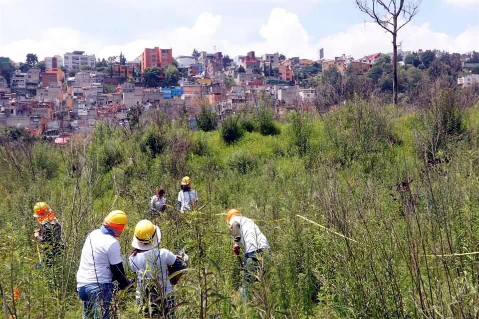'Proyecto integral para la recuperación de barrancas, Programa 2022, Cuenca Alta de Tarango (Río Puerta Grande) y Magdalena Eslava (Río Eslava)', es el objeto de una licitación.