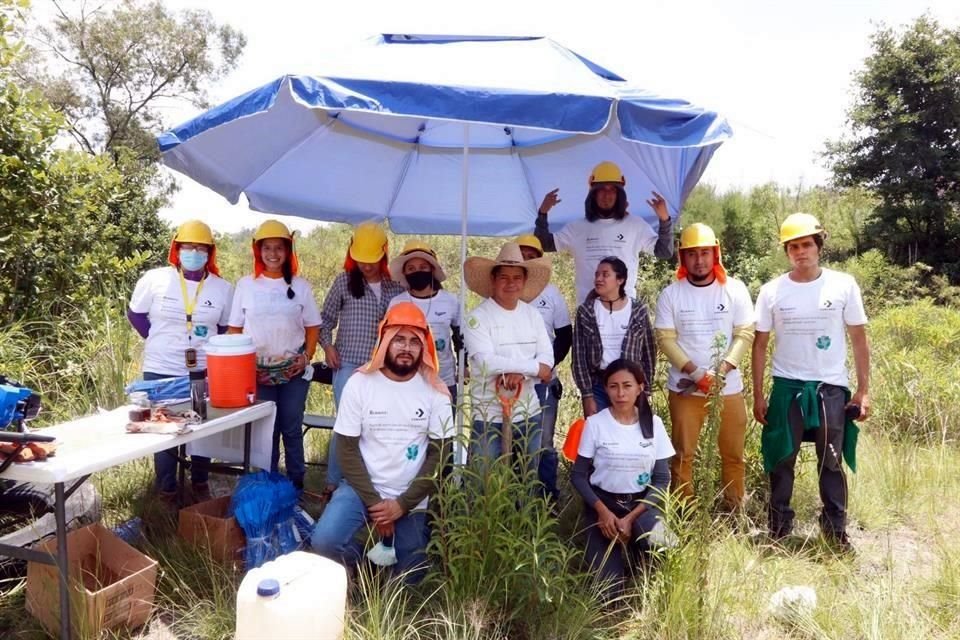 En la reforestación participan voluntarios convocados por redes sociales y también personas contratadas por Reinserta.