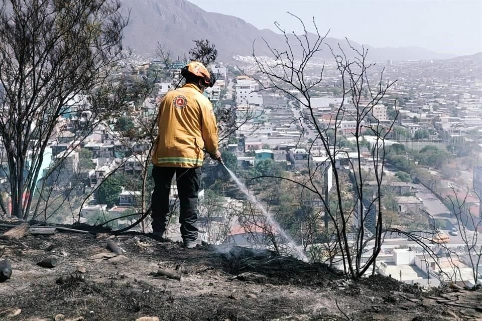 El fuego se propagó con rapidez en lotes baldíos, áreas forestales, viviendas y negocios en el área metropolitana, elevando de nuevo los niveles de contaminación.